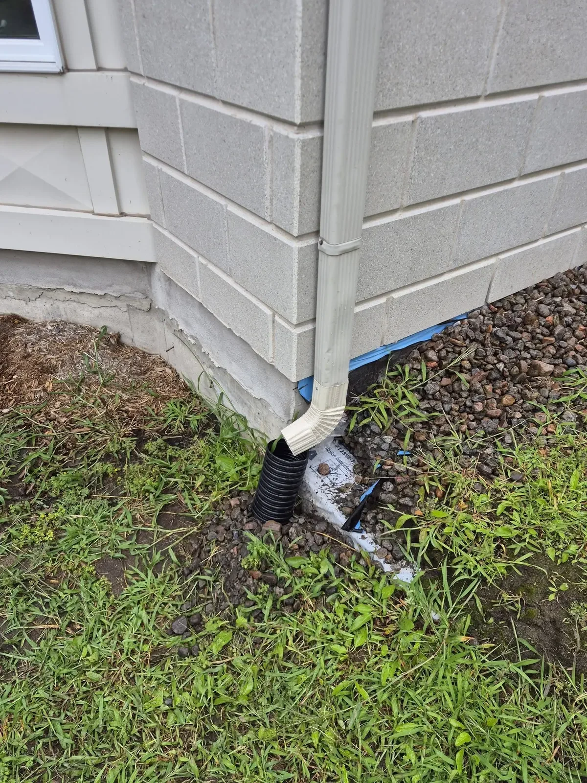 Sortie de la descente pluviale au pied du mur, avec un drain qui éloigne l'eau